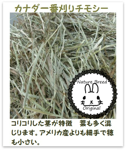 ネイチャーブリードオリジナル牧草チモシー